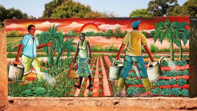 Photo of Agricultural Investment in Africa: A Low Level… Numerous Opportunities