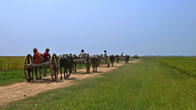 Photo of CAP and Migration: what coherence for European policies ?