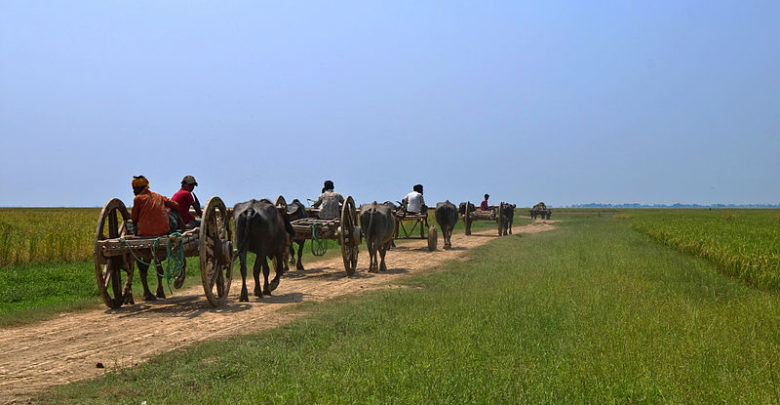 Photo of CAP and Migration: what coherence for European policies ?