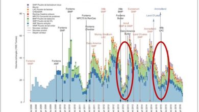 Photo of Dairy products: is the international market’s compass biased?