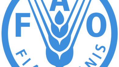 Photo of Strengthening sustainable food systems through geographical indications