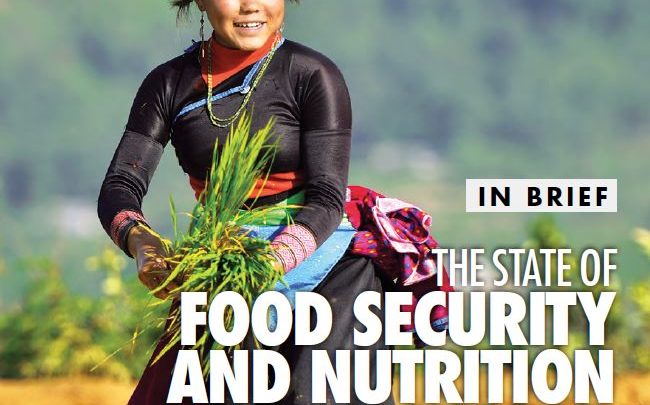 Photo of Hunger in the world: a decade of wasted effort according to the latest FAO report
