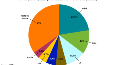 Photo of Sugar policies in the world