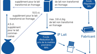 Photo of Repeal of the Swiss “chocolate law”: a sleight of hand between export subsidy and aid coupled with production