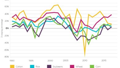 Photo of The costs of agricultural export dumping for farmers and rural communities