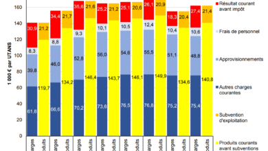 Photo of The five lessons to be drawn from the report of the Price and Margin Observatory