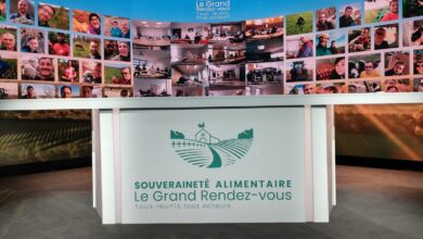 Photo de Souveraineté alimentaire : un enjeu capital pour l’agriculture